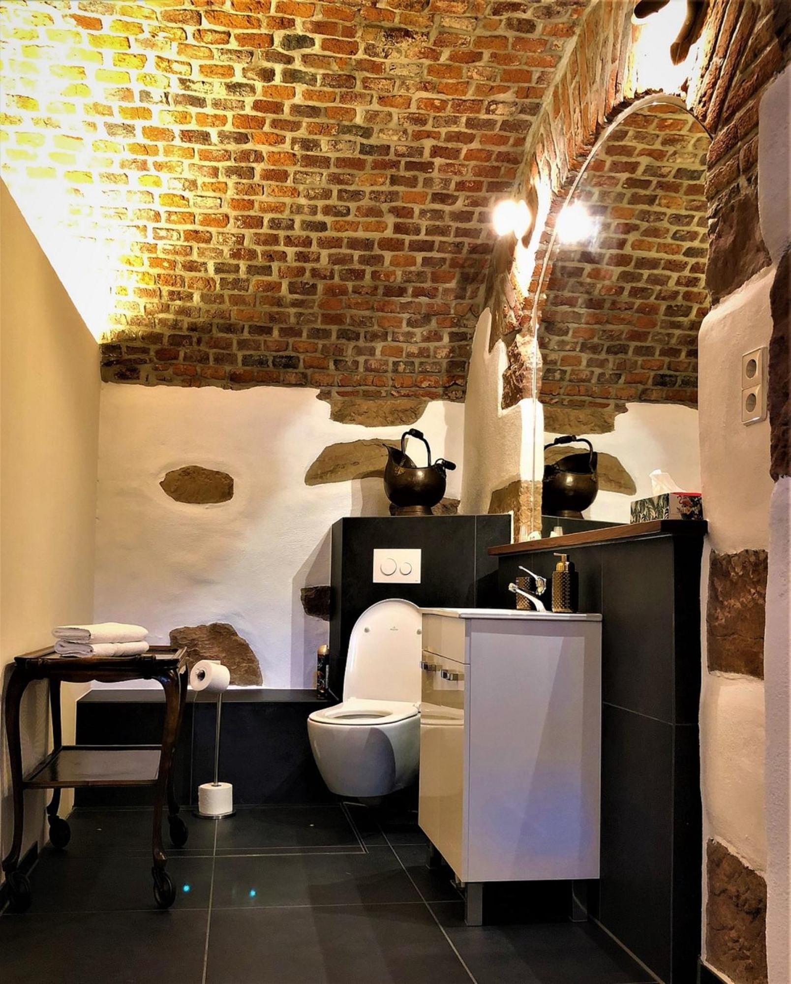 Historical Luxury Homes - Stadtvilla Mit Jacuzzi Und Garten Freiburg im Breisgau Exterior photo